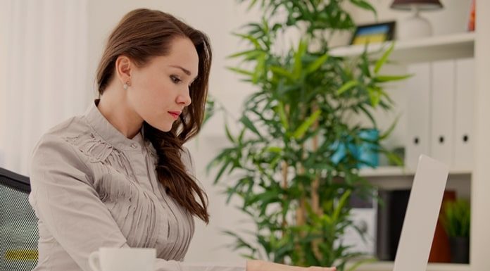 Teleworking System