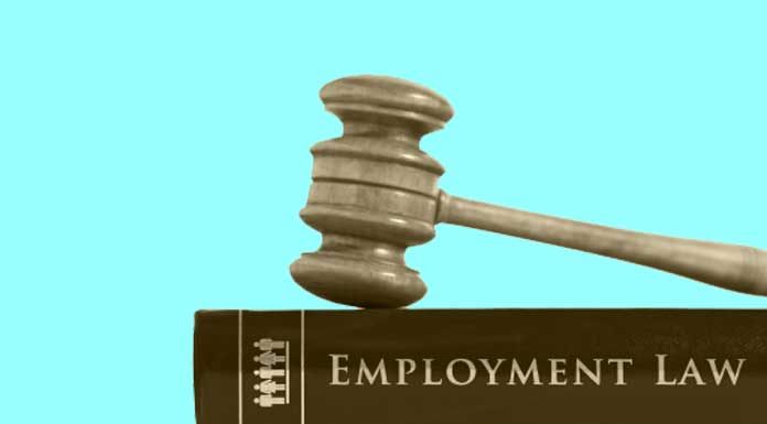 3-Things-New-Businesses-Must-Know-About-Employment-Law