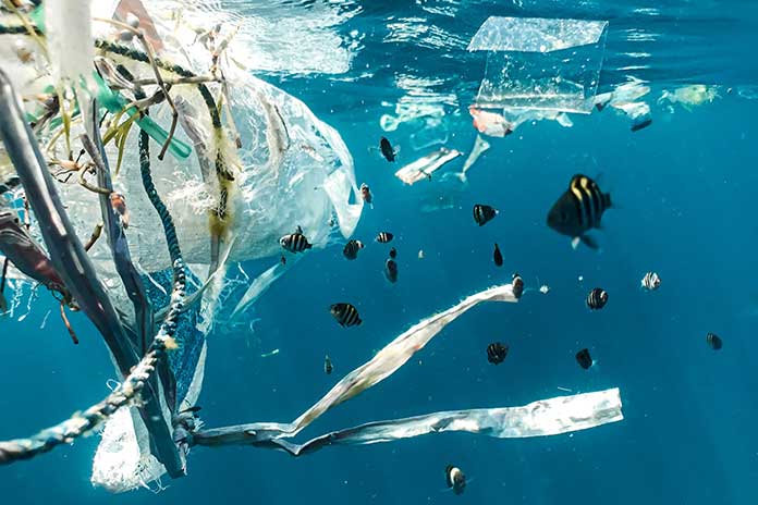 A-Robot-System-Fights-Against-Plastic-Waste-On-The-Seabed