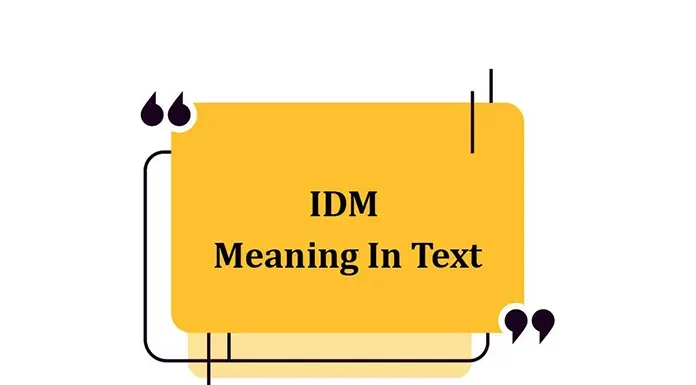 IDM meaning In Text