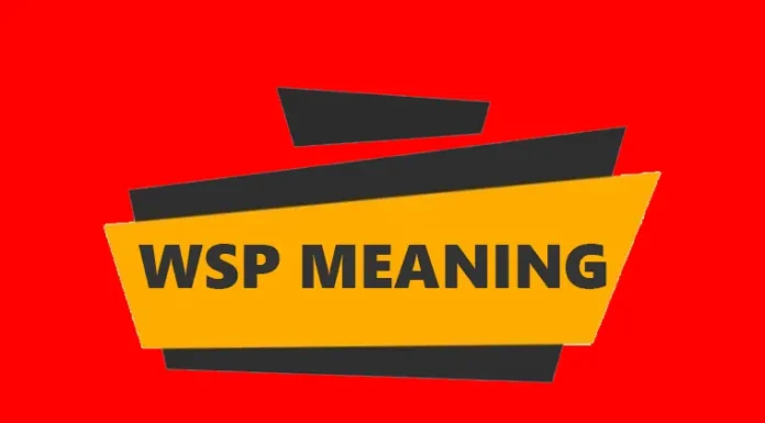 WSP Meaning